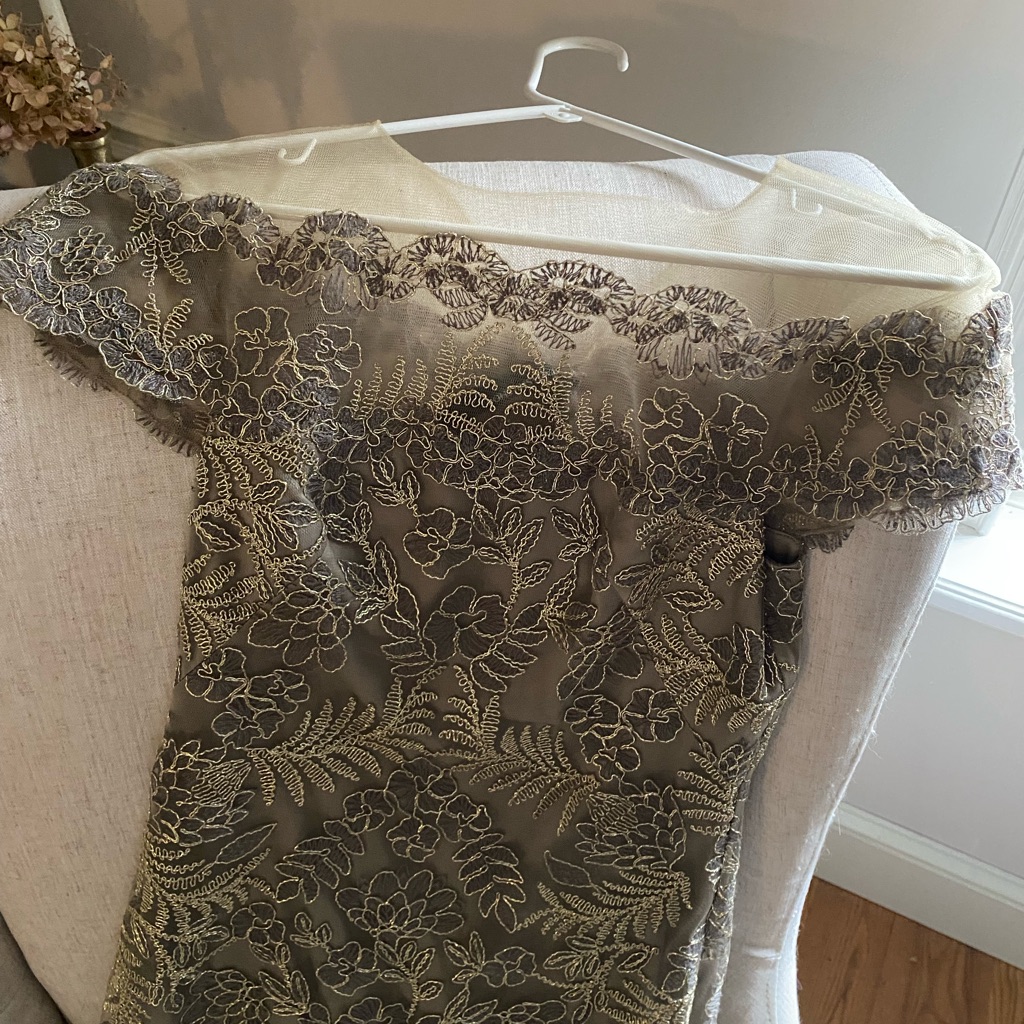 Tadashi Shoji Illusion Off The Shoulder Lace Gown